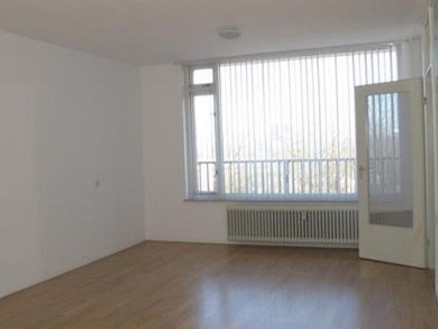 Dadeltuin , Rotterdam