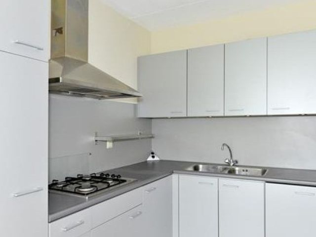 Lotustuin , Rotterdam