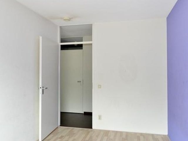 Lotustuin , Rotterdam