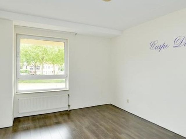 Lotustuin , Rotterdam