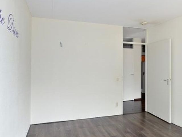 Lotustuin , Rotterdam