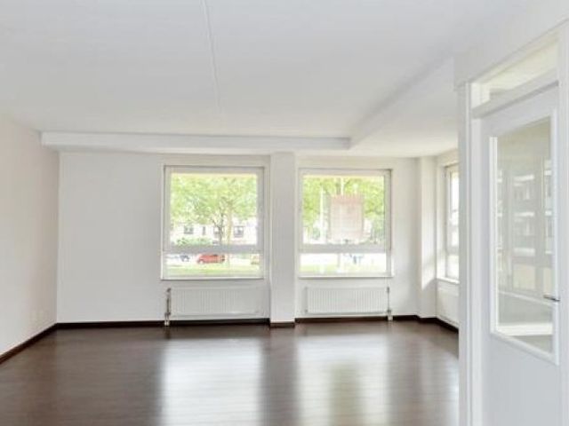 Lotustuin , Rotterdam