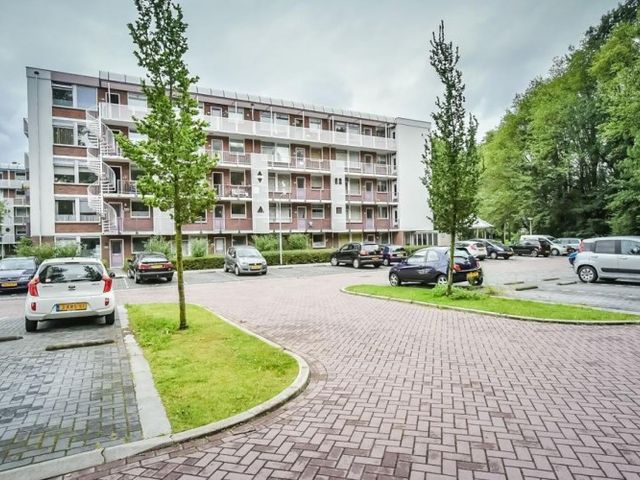 Leverkruidweg , Zaandam