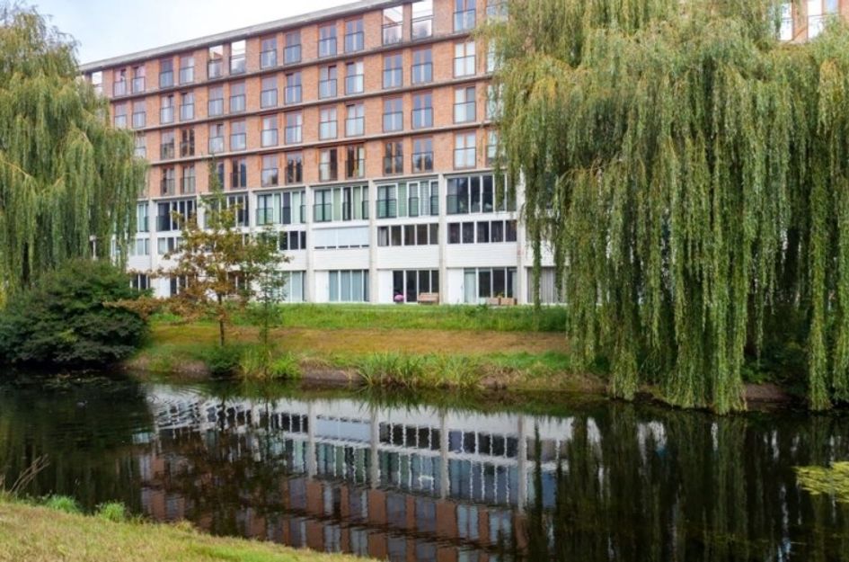 Prinses Ireneplateau 