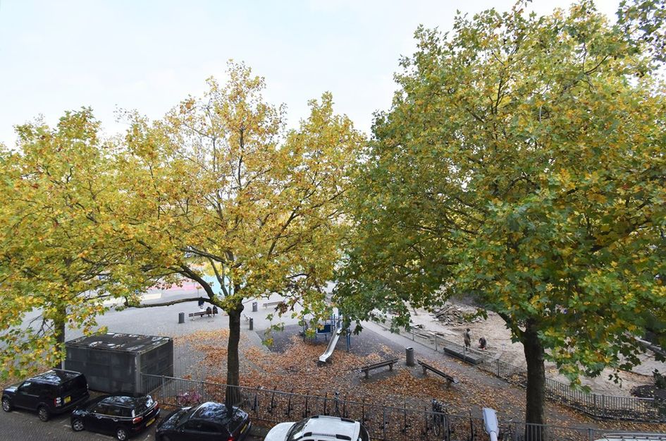 Schiedamsesingel 179B