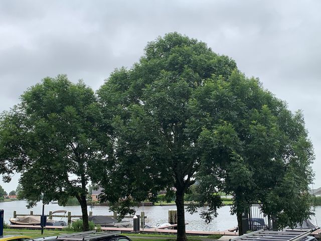 Wilhelminakade 77A, Uithoorn