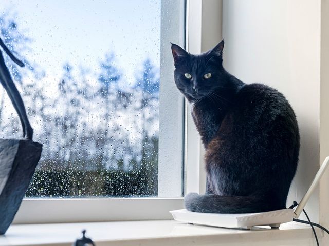 Runselstraat 10, Berghem