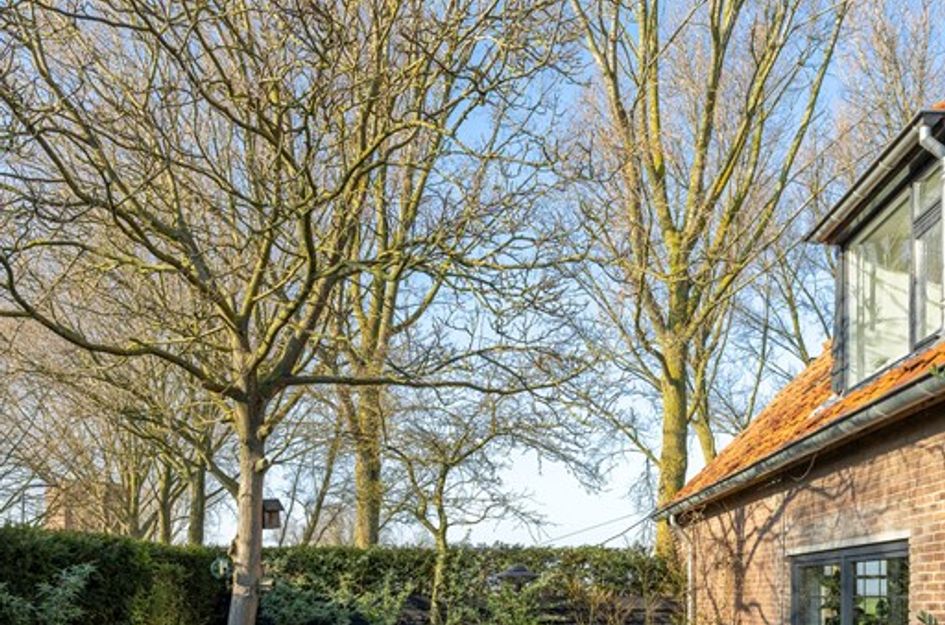 Bokhovense Maasdijk 4