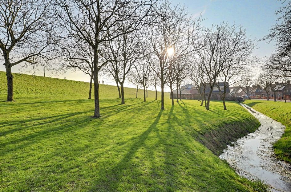 Bevrijdingssingel 15