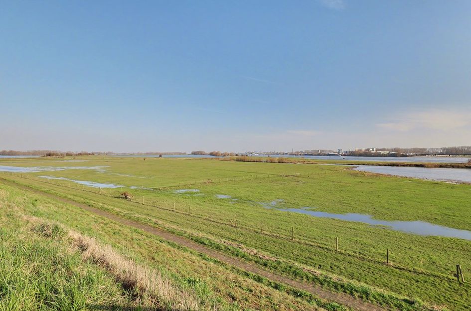 Bevrijdingssingel 15