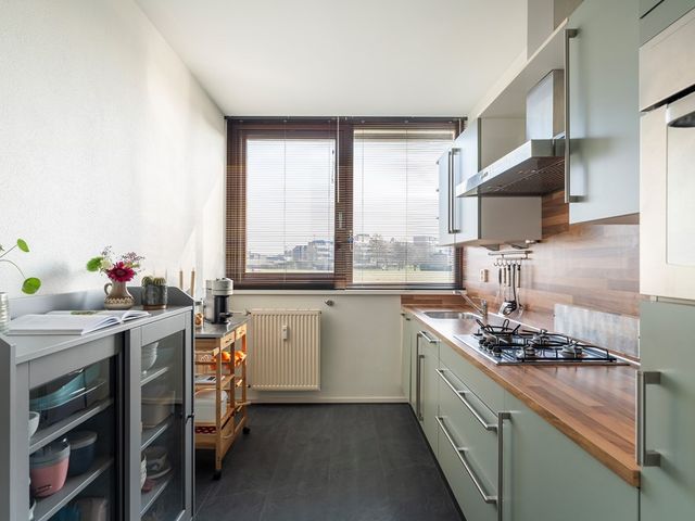 Merellaan 91, Maassluis