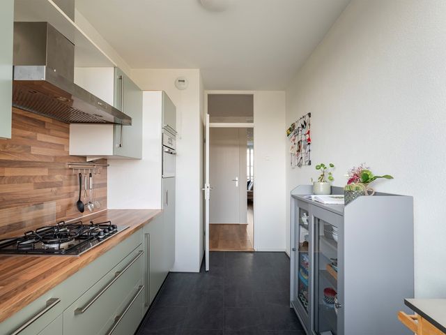 Merellaan 91, Maassluis