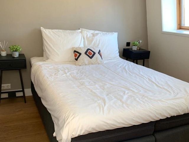 Van Ostadestraat 350 3, Amsterdam