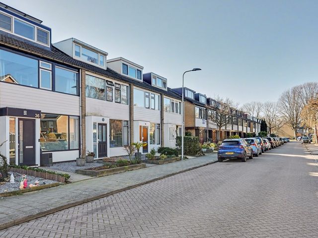 Hazelaarstraat 36, Puttershoek