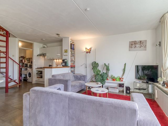 Liguster 22, Nieuwvliet