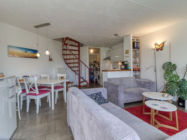 Liguster 22, Nieuwvliet