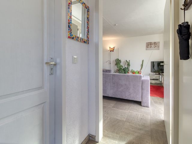 Liguster 22, Nieuwvliet