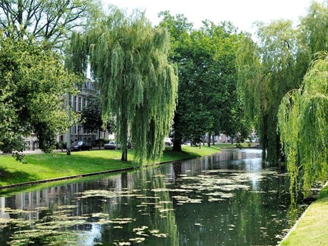 Noordsingel 48B, Rotterdam
