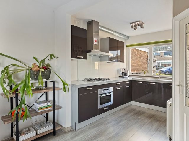 Goudenregenplantsoen 16, Rhenen