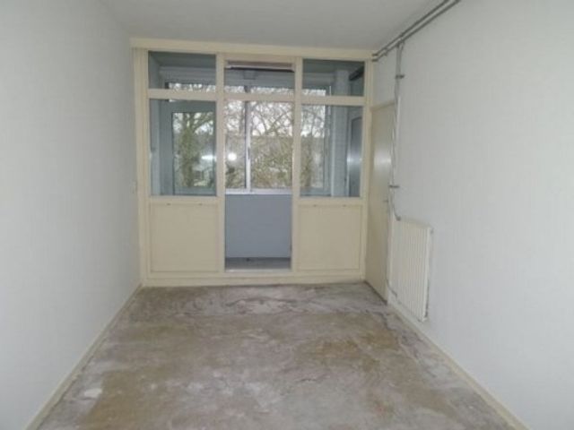 Grote Ruwenberg ONG, Amsterdam