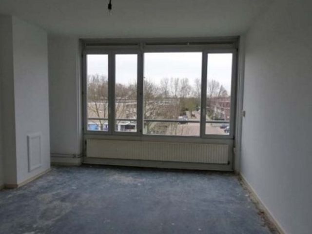 Grote Ruwenberg ONG, Amsterdam