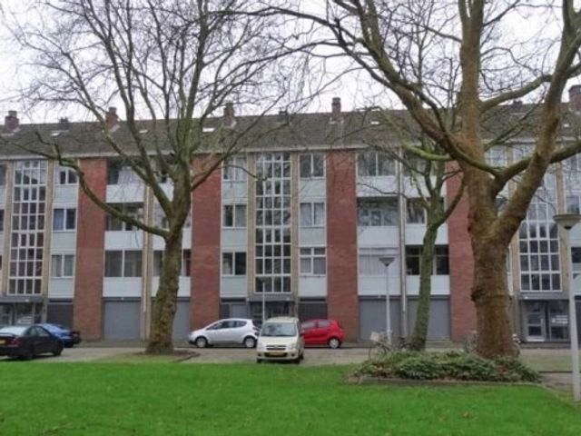 Grote Ruwenberg ONG, Amsterdam