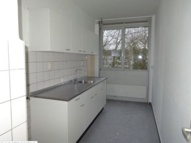 Grote Ruwenberg ONG, Amsterdam