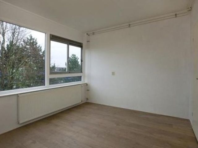 Ophemerthof ONG, Amsterdam