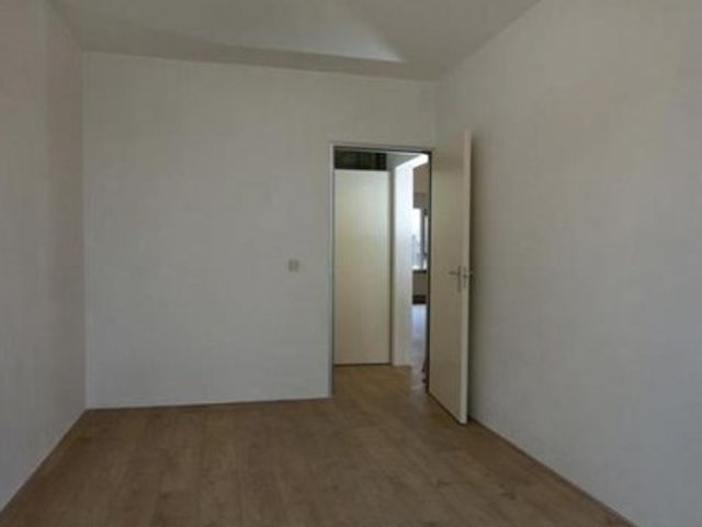 Ophemerthof ONG, Amsterdam