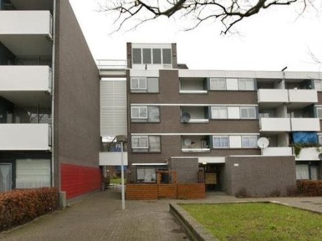 Ophemerthof ONG, Amsterdam