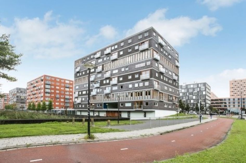 Anna Blamansingel ONG