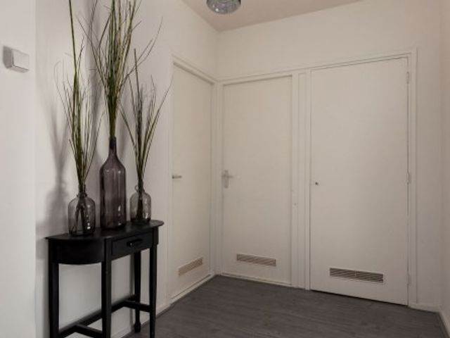 Anna Blamansingel ONG, Amsterdam