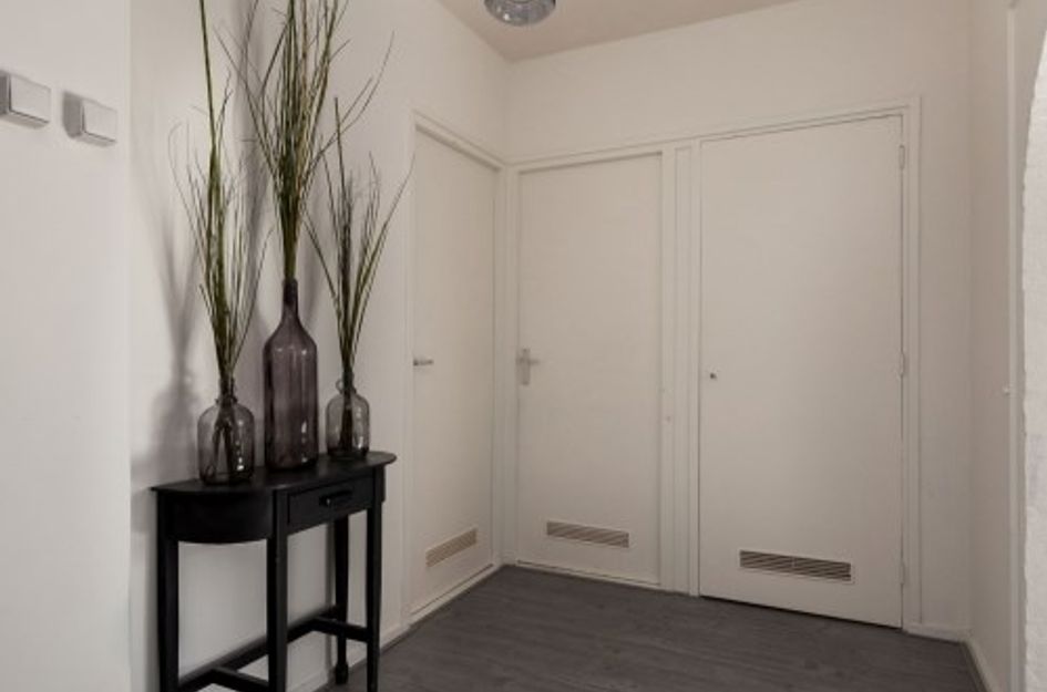 Anna Blamansingel ONG