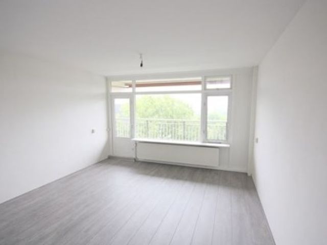 Torenmolen ONG, Amsterdam