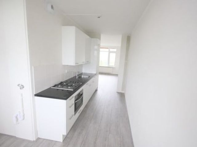 Torenmolen ONG, Amsterdam