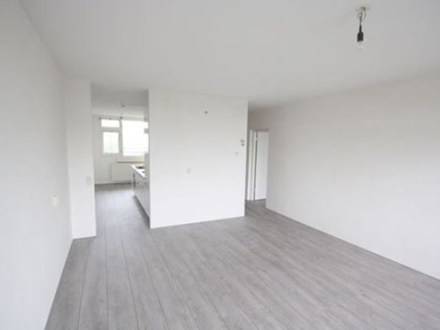 Torenmolen ONG, Amsterdam