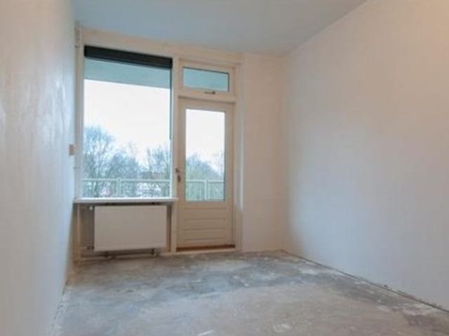 Zilverberg ONG, Amsterdam