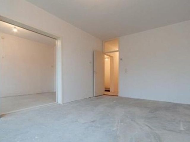 Zilverberg ONG, Amsterdam