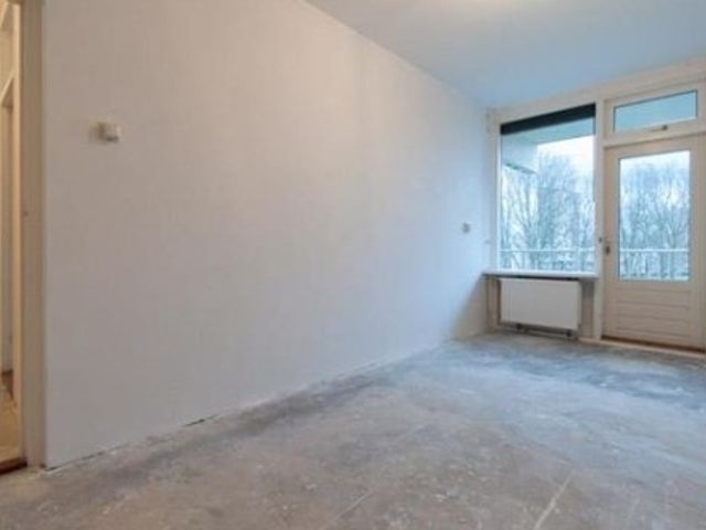 Zilverberg ONG, Amsterdam