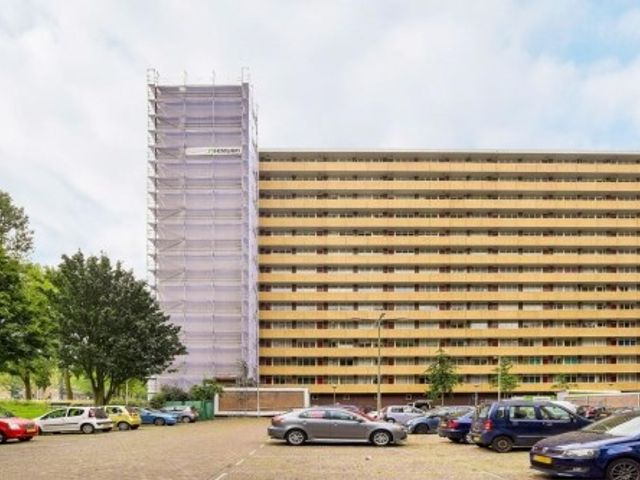 Langswater ONG, Amsterdam