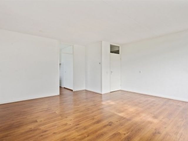 Palaceplein ONG, Den Haag