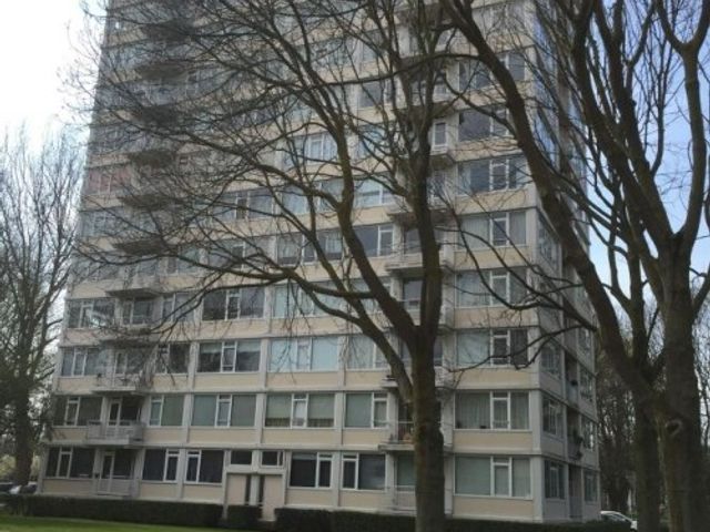 Gerstkamp ONG, Den Haag