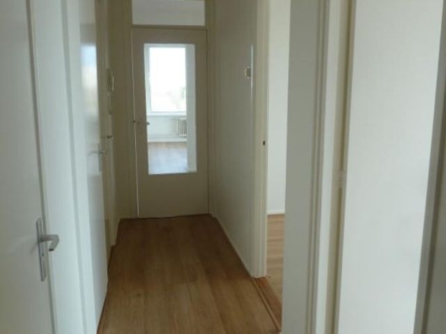 Gerstkamp ONG, Den Haag