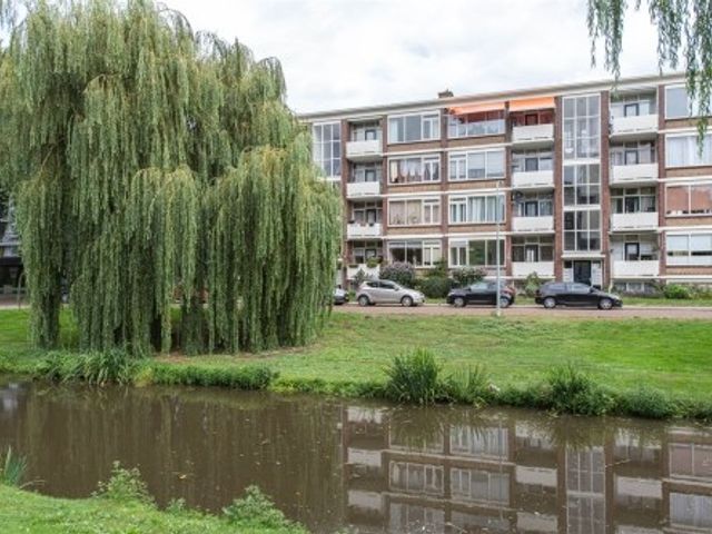 Vrederustlaan ONG, Den Haag