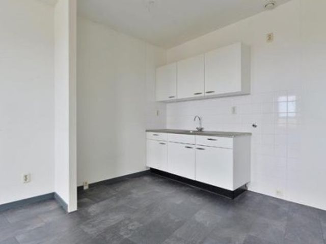 Riouwstraat ONG, Den Haag