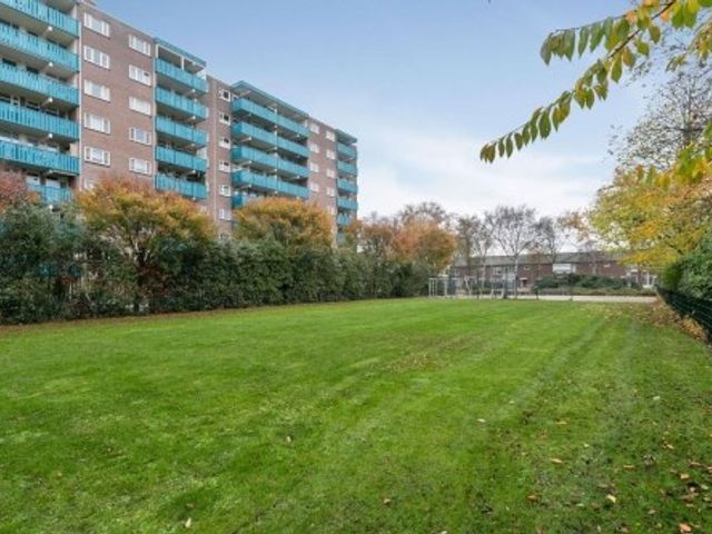 Nederlandplein ONG, Eindhoven