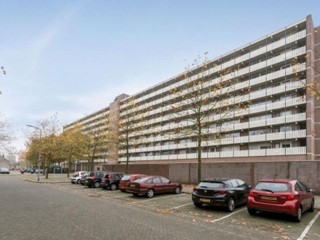 Nederlandplein ONG, Eindhoven