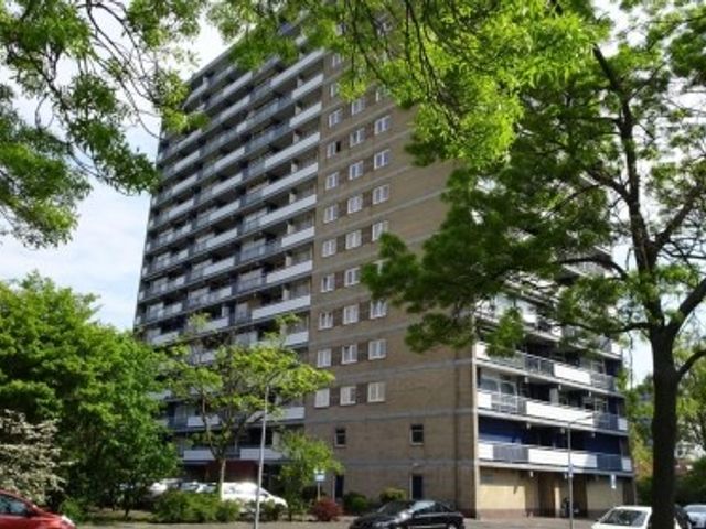 Waddenstraat ONG, Haarlem