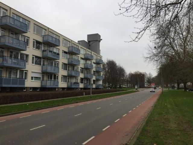 Florijnruwe ONG, Maastricht