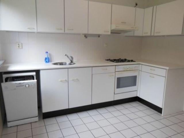 Via Regia ONG, Maastricht